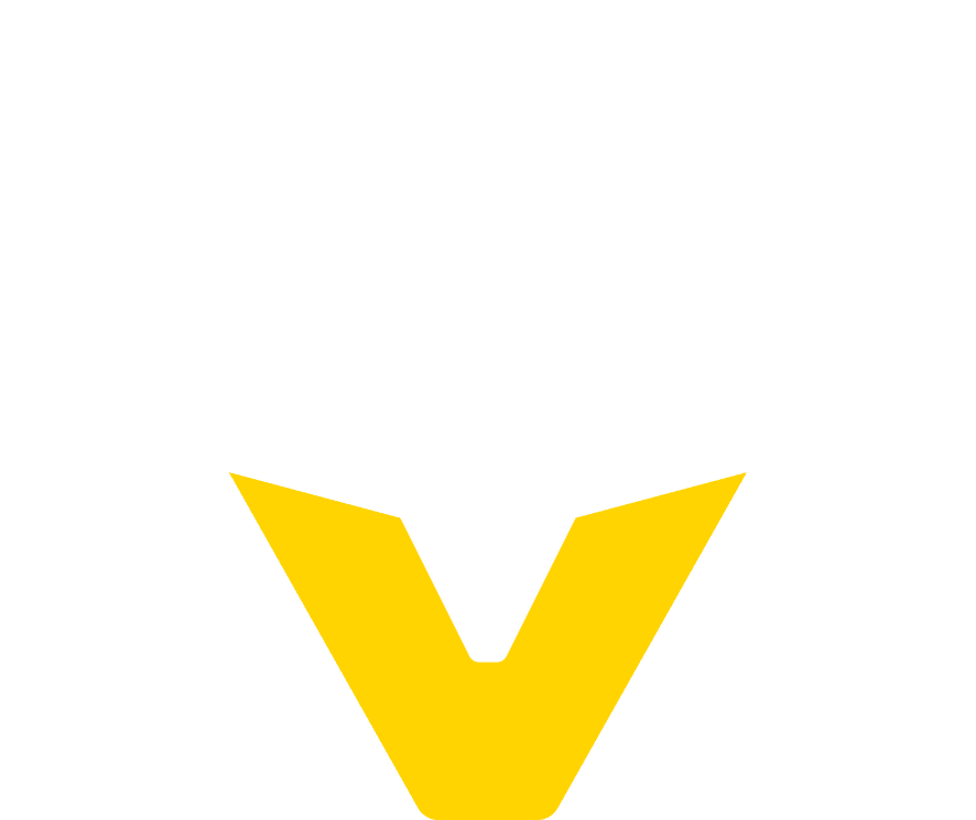 Vienna Vikings — AFLE 2026 champions