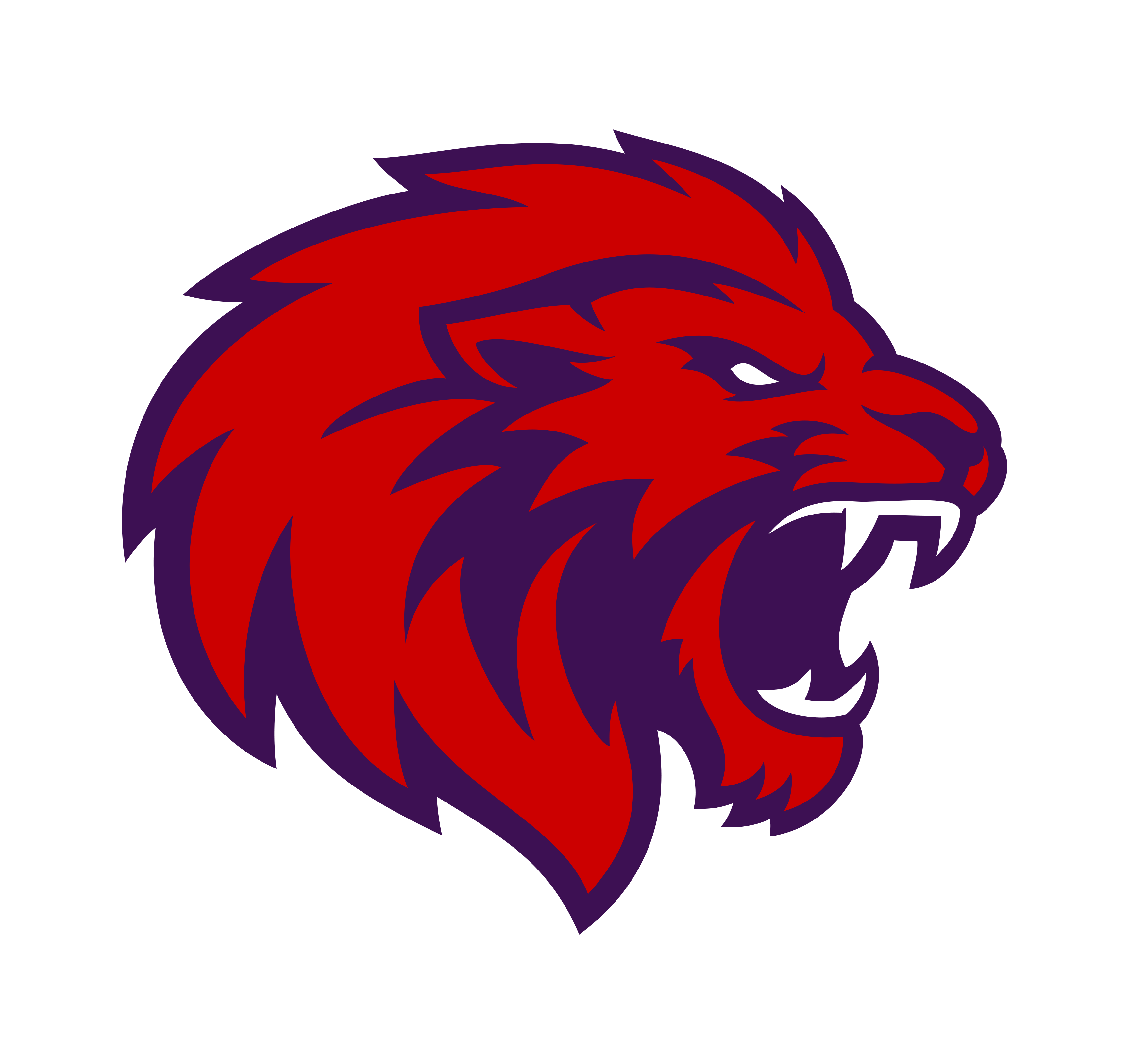 Team Logo